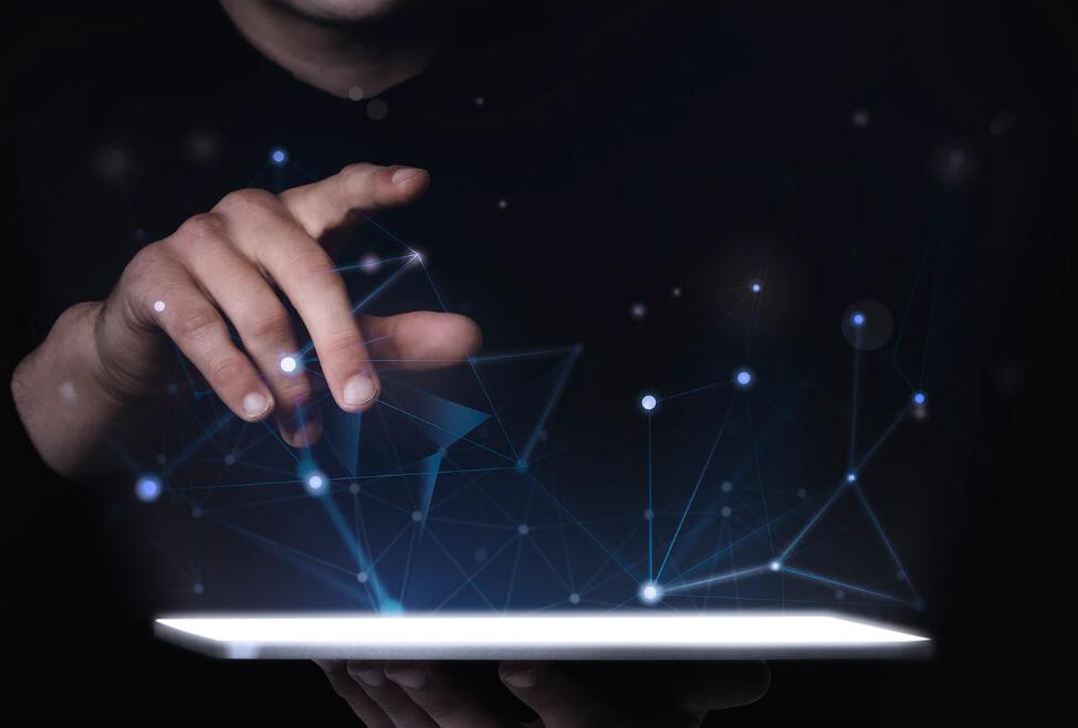 熊猫乐乐有几只 熊猫乐乐身上的血洞